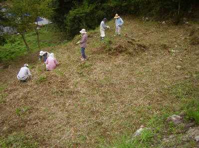 雑草の刈り取り作業中