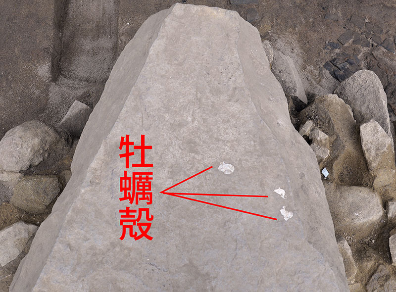 牡蠣