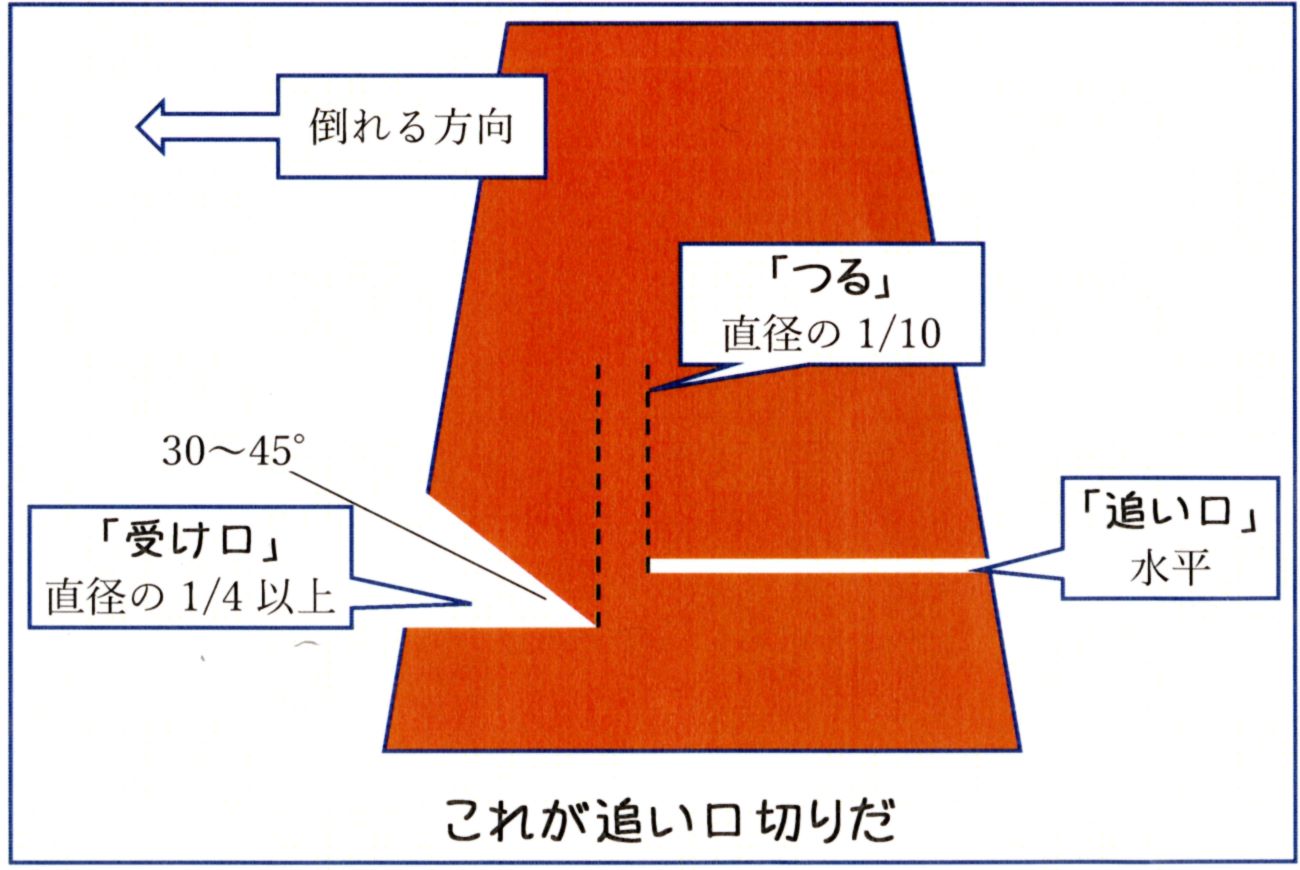 おい口の切り方