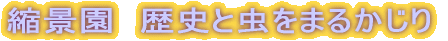 �k�i���@���j�ƒ����܂邩����