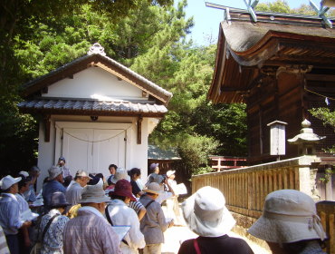 桂濱神社本殿