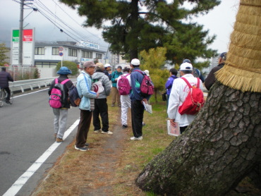 中野砂走りの出迎え松