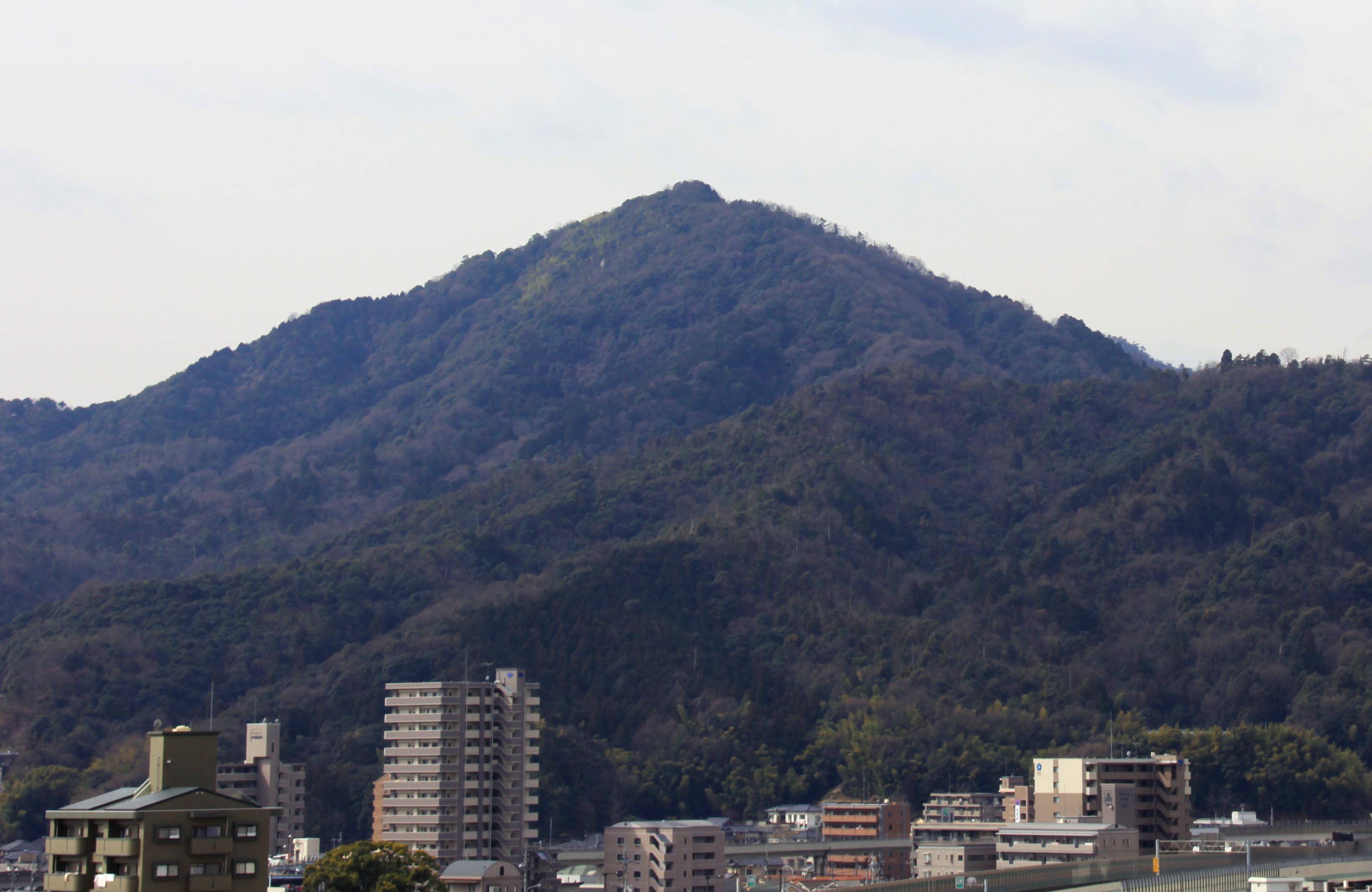 武田山